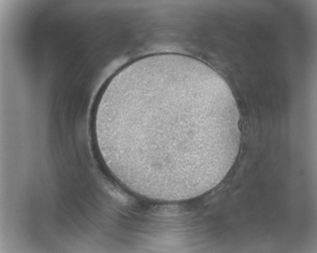 X0000063510104200602101936