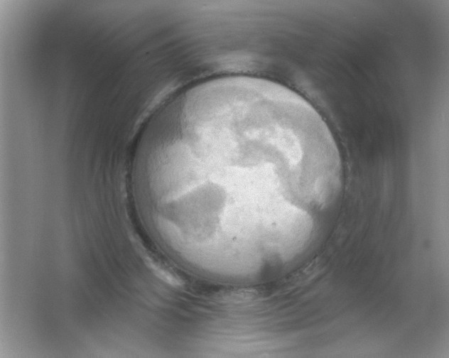 X0000063510106200602101936