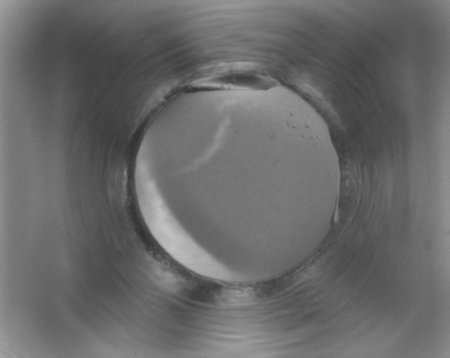 X0000063510110200602101936