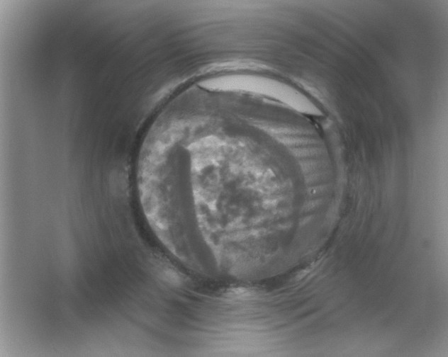 X0000063510111200602101936