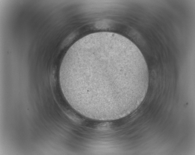 X0000063510116200602101935