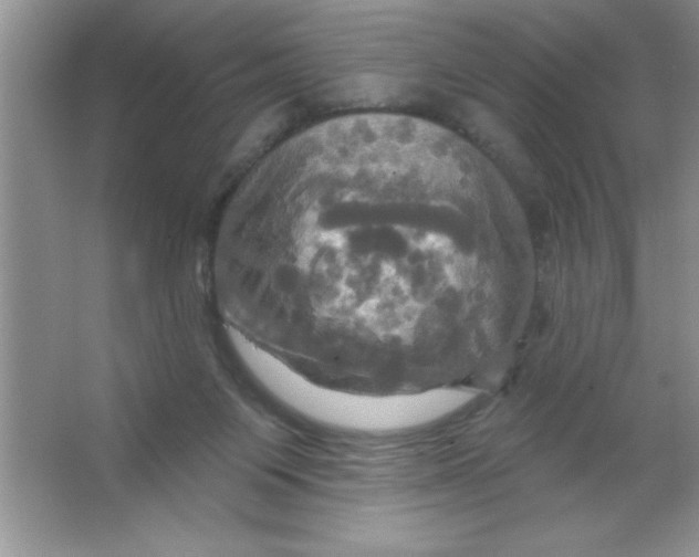 X0000063510119200602101935