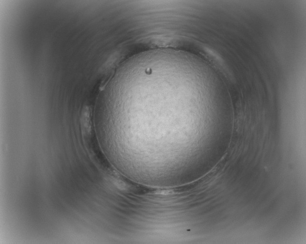 X0000063510121200602101935