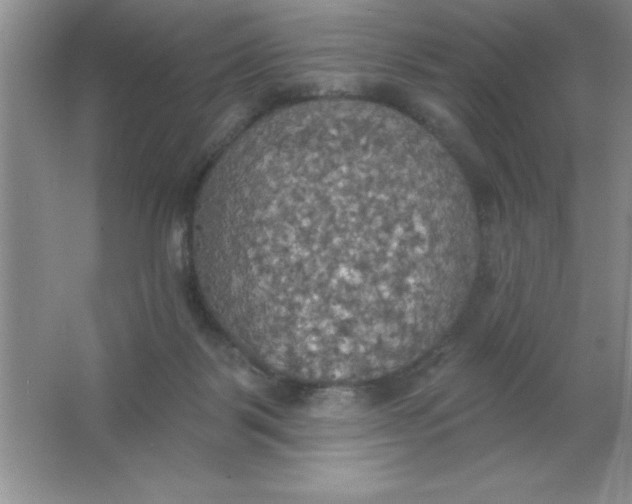 X0000063510123200602101935