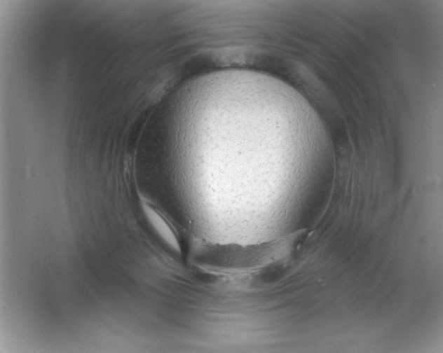 X0000063510125200602101935