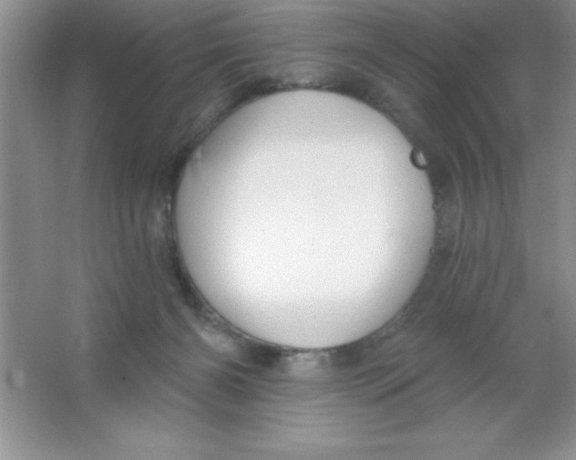 X0000063510126200602101935