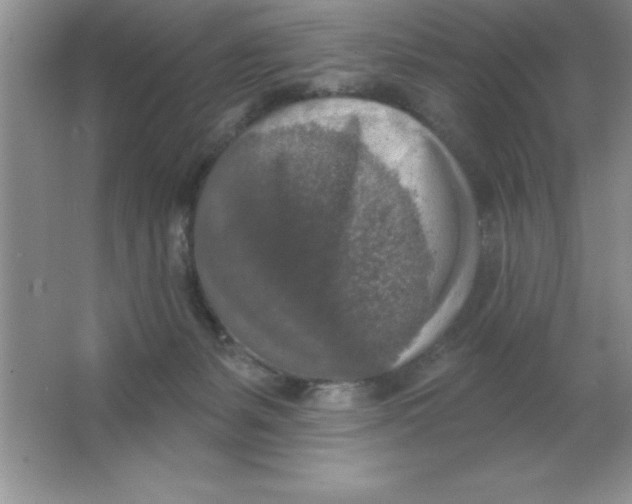 X0000063510127200602101935