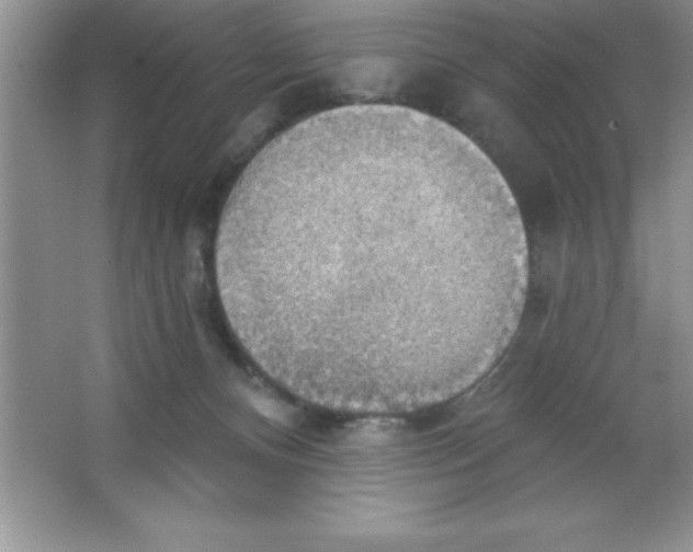 X0000063510128200602101935