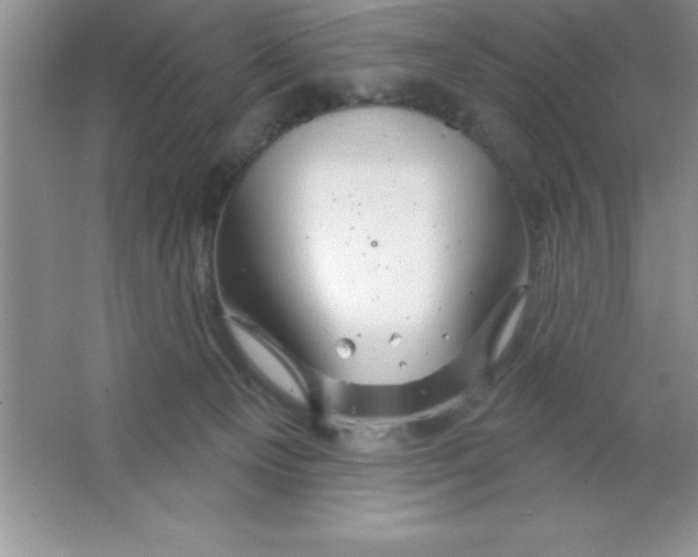 X0000063510129200602101935