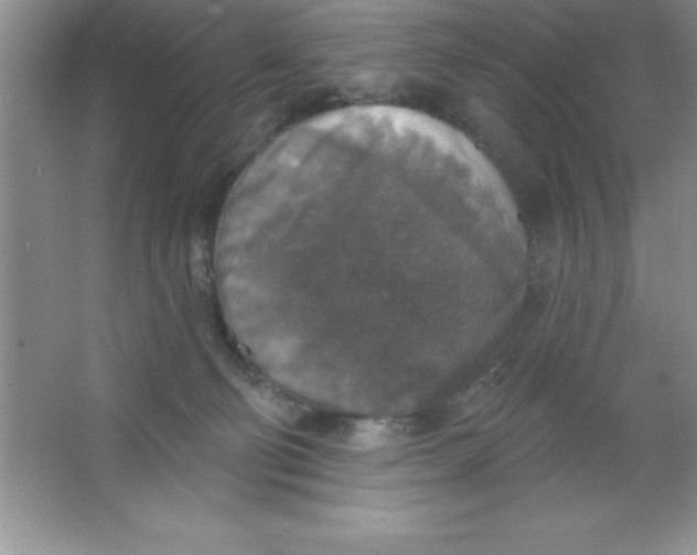 X0000063510130200602101935