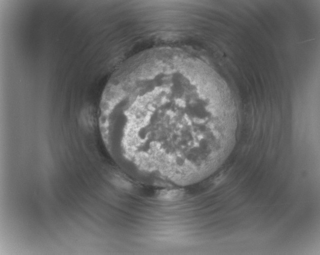 X0000063510135200602101935