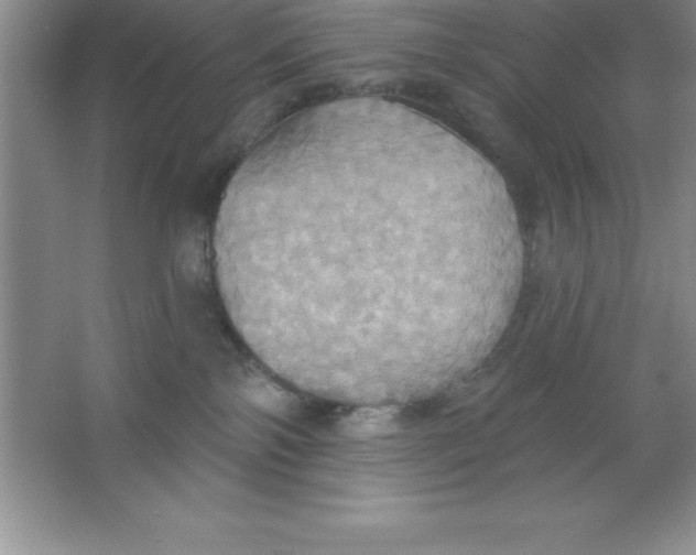 X0000063510138200602101935