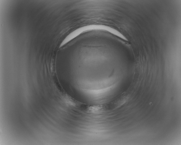 X0000063510139200602101935