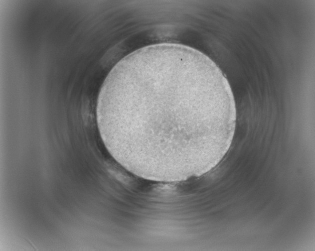 X0000063510140200602101935