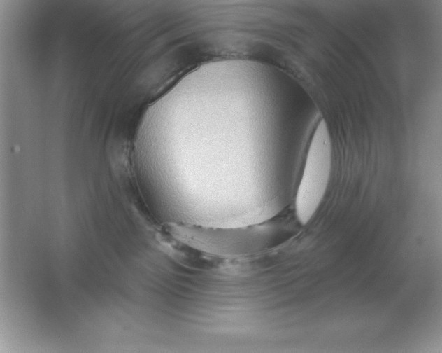 X0000063510141200602101935