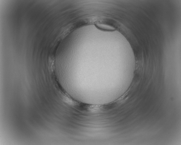 X0000063510142200602101935