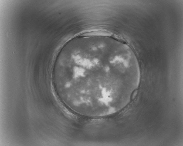 X0000063510145200602101934