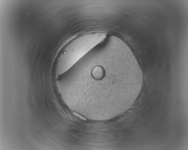 X0000063510146200602101934