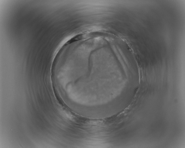 X0000063510147200602101934