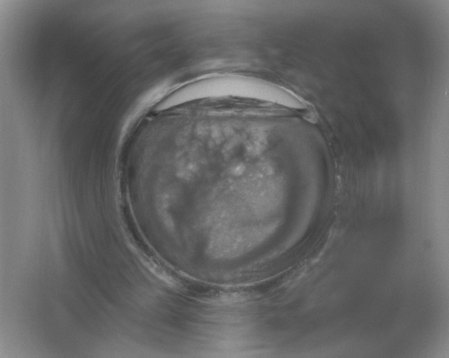 X0000063510149200602101934