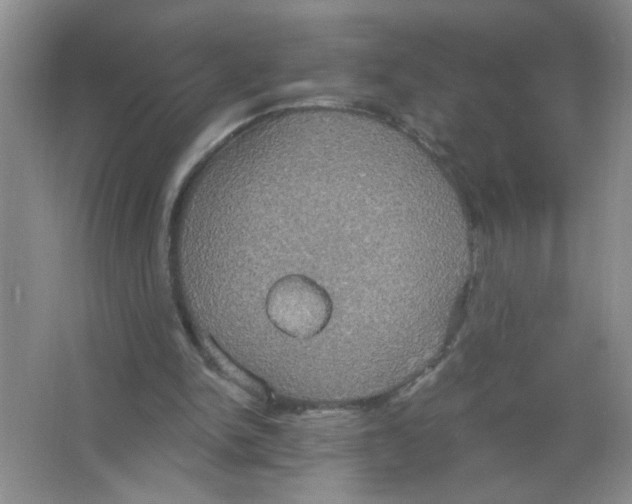 X0000063510150200602101934