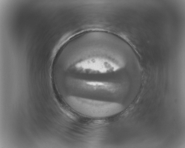 X0000063510151200602101934