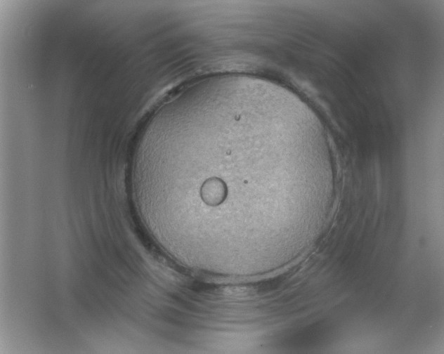 X0000063510154200602101934