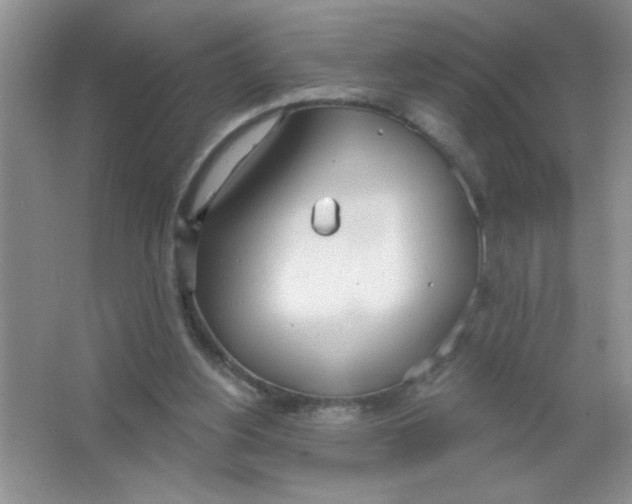 X0000063510156200602101934