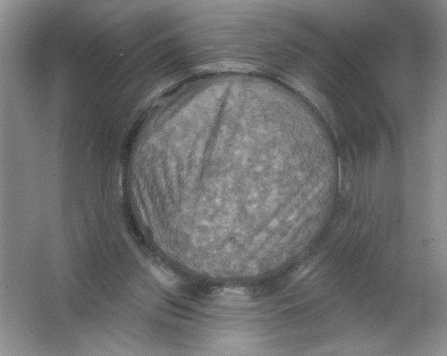 X0000063510157200602101934