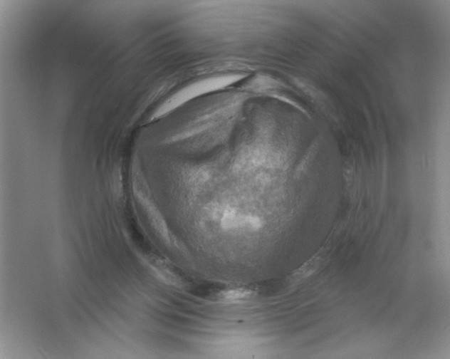 X0000063510158200602101934