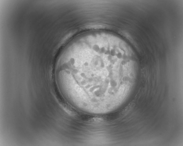 X0000063510159200602101934