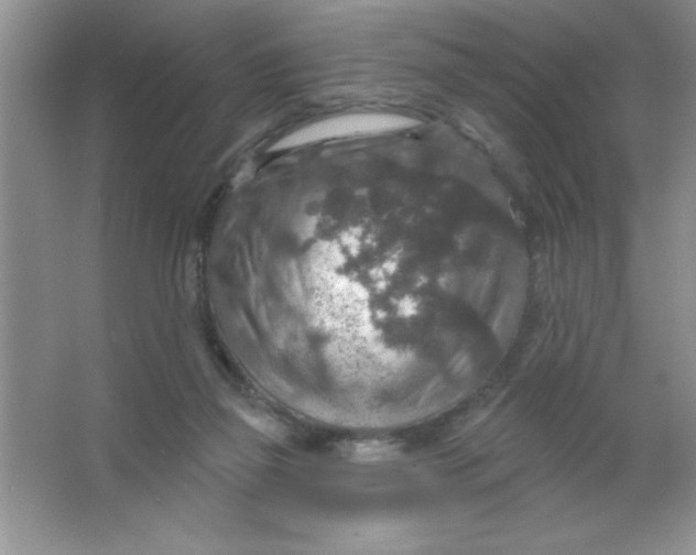 X0000063510165200602101935