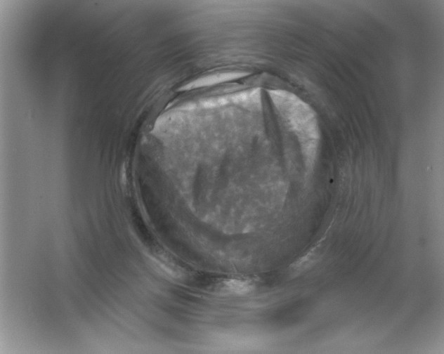 X0000063510166200602101935