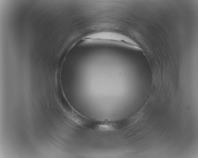 X0000063510167200602101935