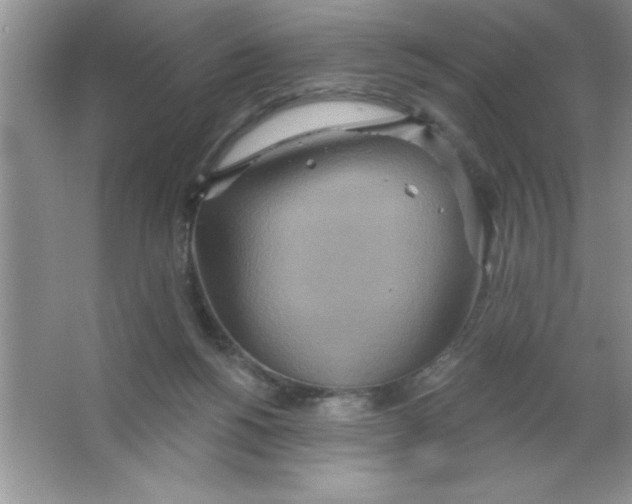 X0000063510168200602101935