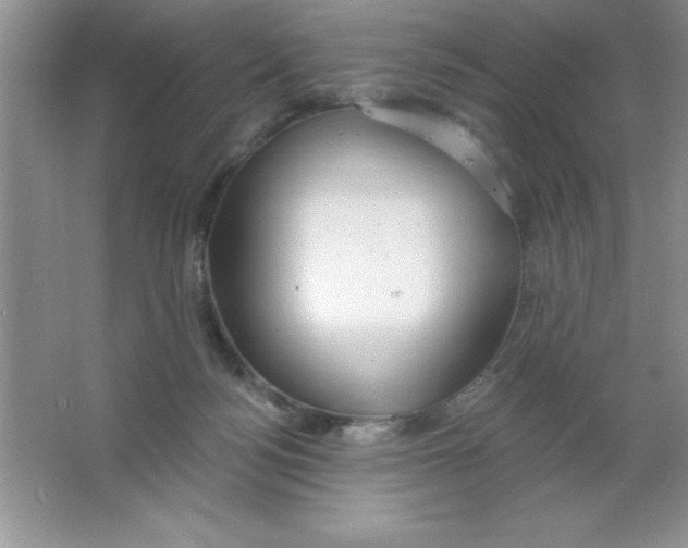 X0000063510172200602101935