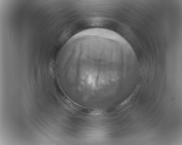 X0000063510175200602101935