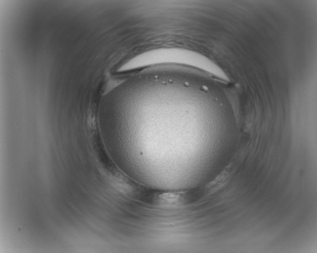 X0000063510176200602101935