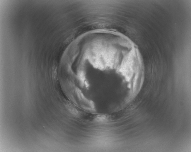 X0000063510177200602101935