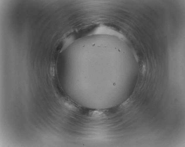 X0000063510180200602101935