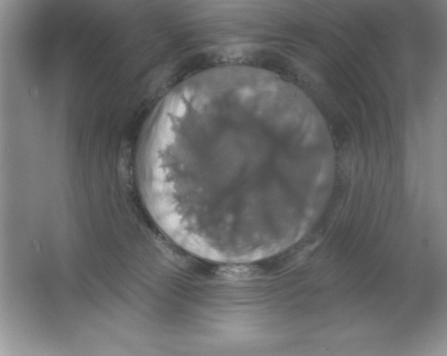 X0000063510181200602101935