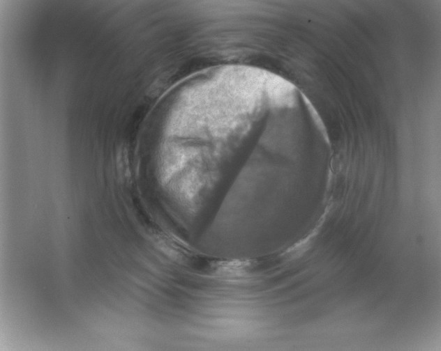 X0000063510182200602101935