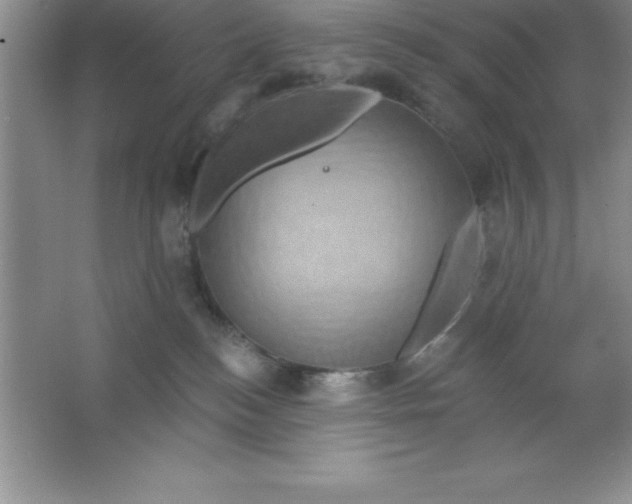 X0000063510184200602101935