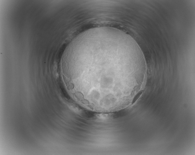 X0000063510187200602101935