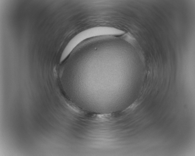 X0000063510188200602101935