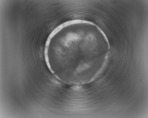 X0000063510189200602101935