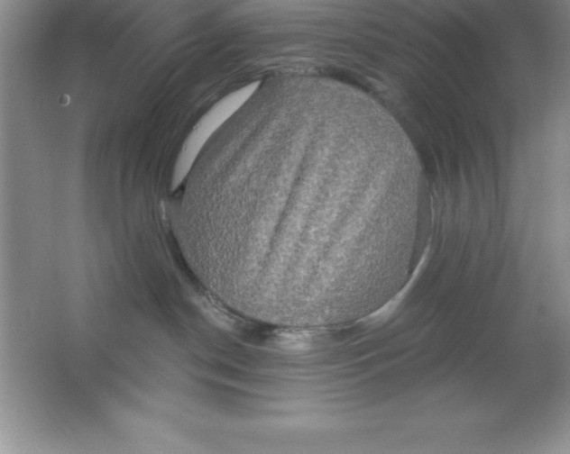 X0000063510190200602101935