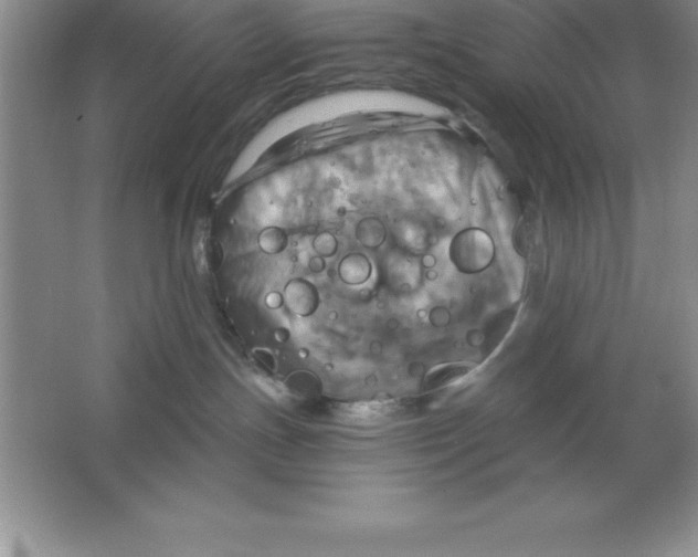 X0000063510191200602101935