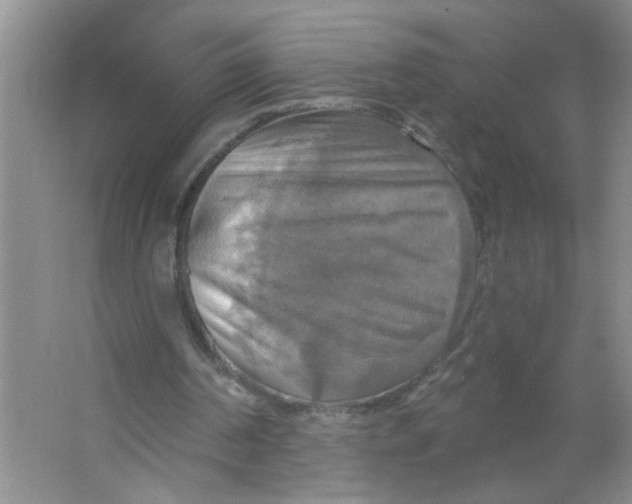 X0000063510194200602101934