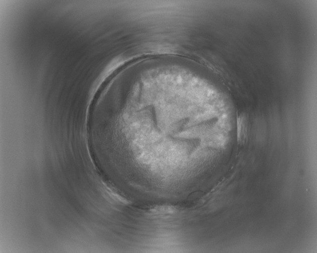 X0000063510195200602101934